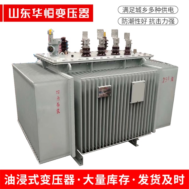 S13-10000/35扶余扶余扶余电力变压器厂家