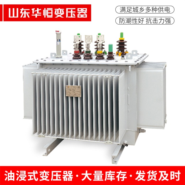 S13-10000/35扶余扶余扶余电力变压器